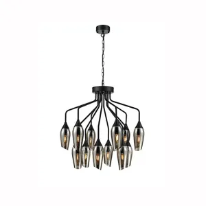 543/21-0242LF 12 Light Suspended Light Matt Black
