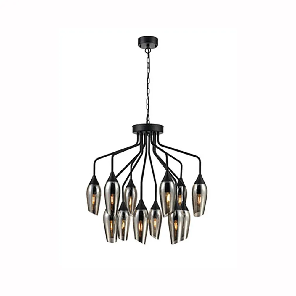 543/21-0242LF 12 Light Suspended Light Matt Black