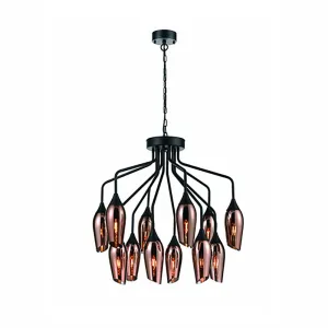 743/21-0242LF 12 Light Suspended Light Matt Black