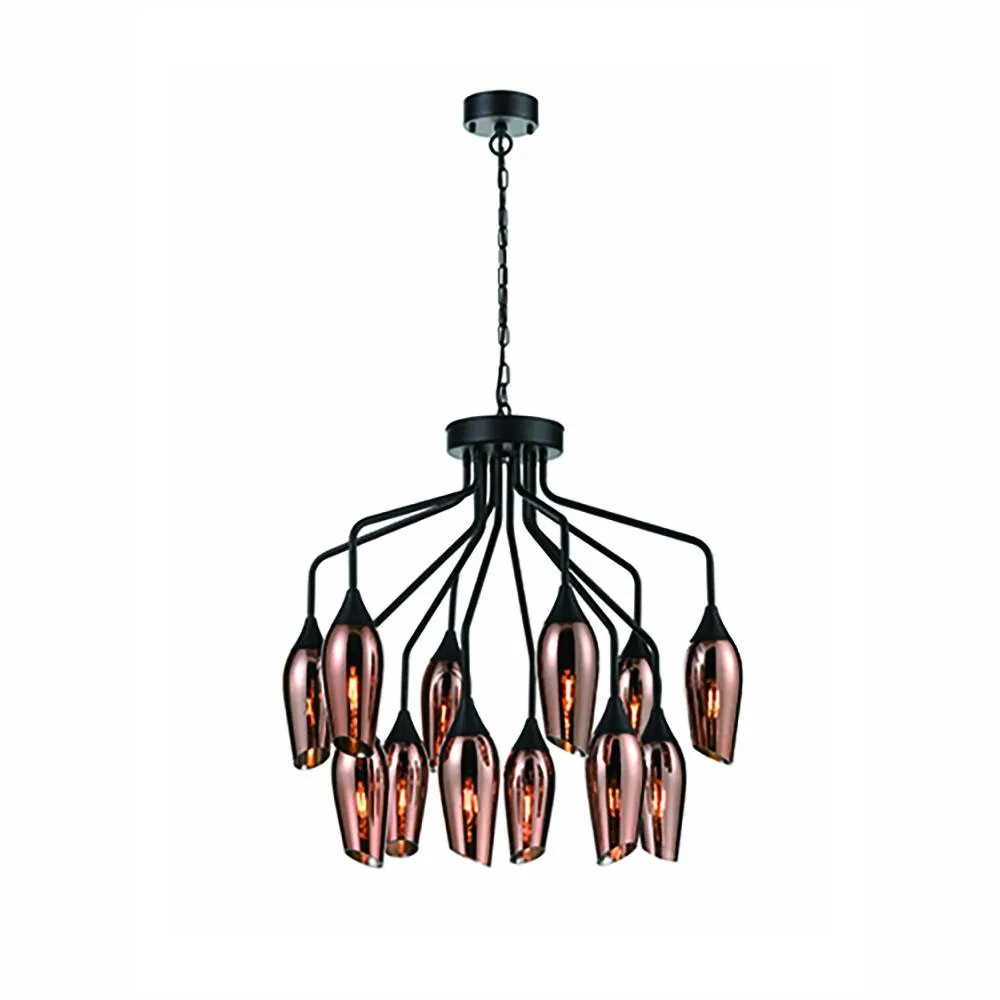 743/21-0242LF 12 Light Suspended Light Matt Black