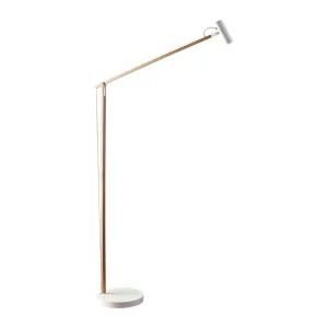 ADS360 Crane LED Floor Lamp