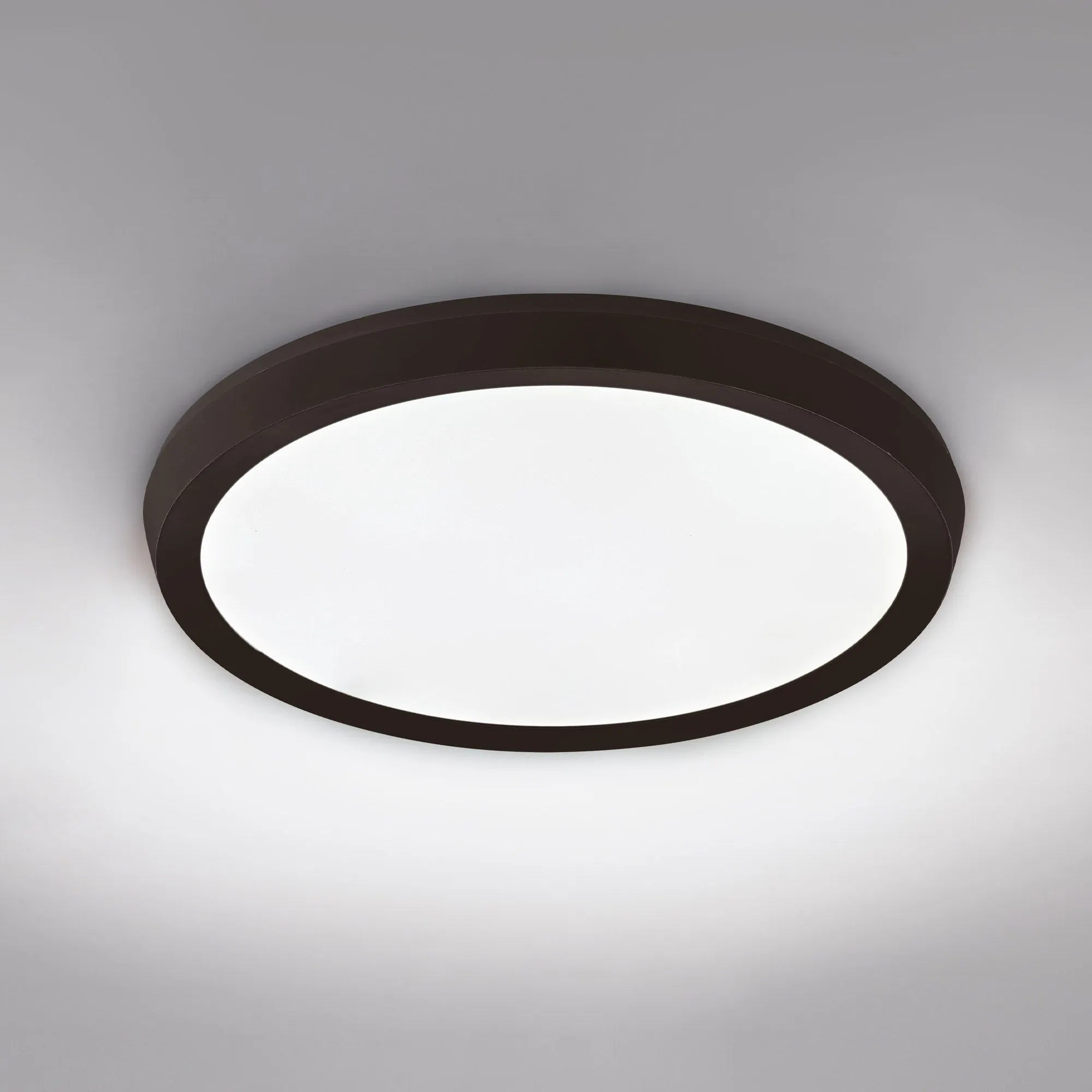 Argo LED Round Flush Mount