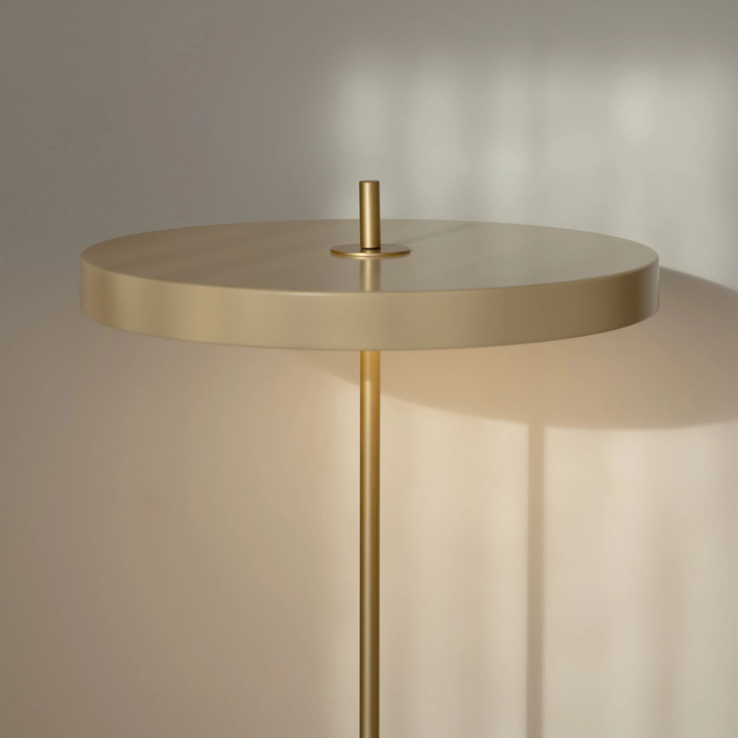 Asteria Floor Lamp