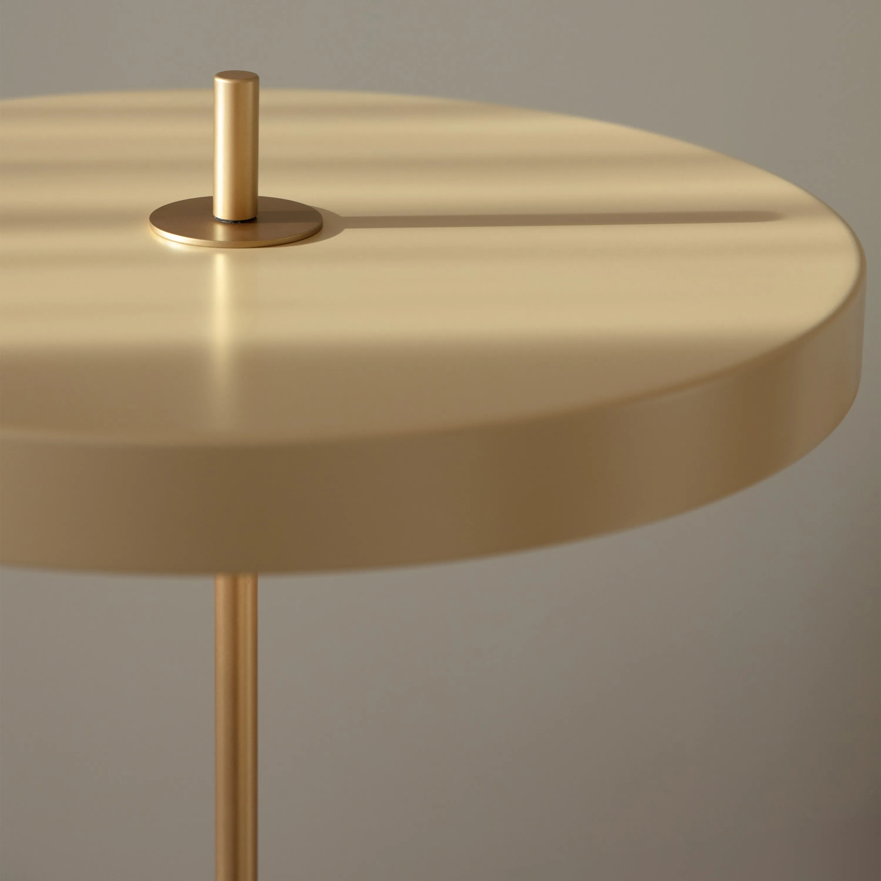 Asteria Floor Lamp