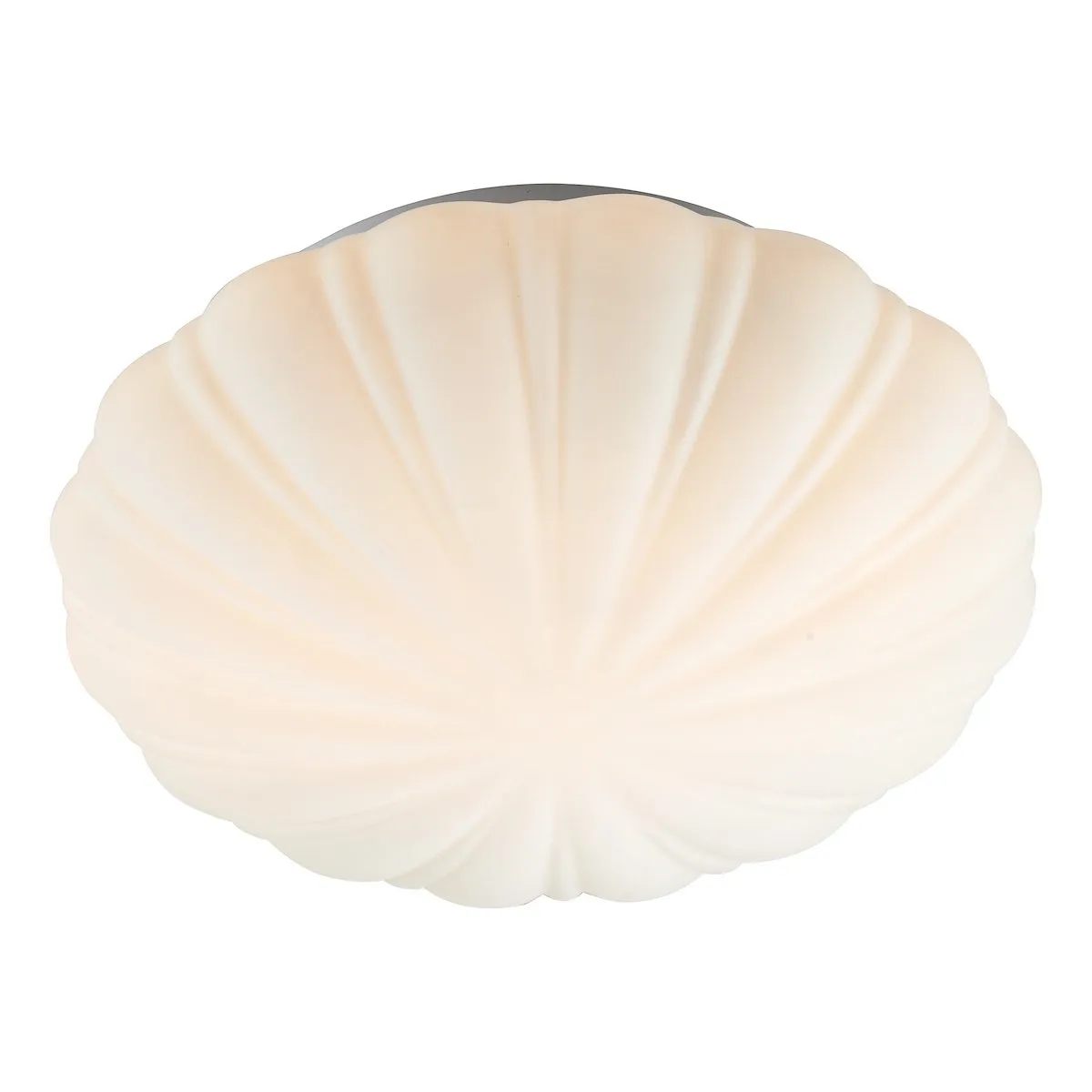 CAF502 Small Flush Light