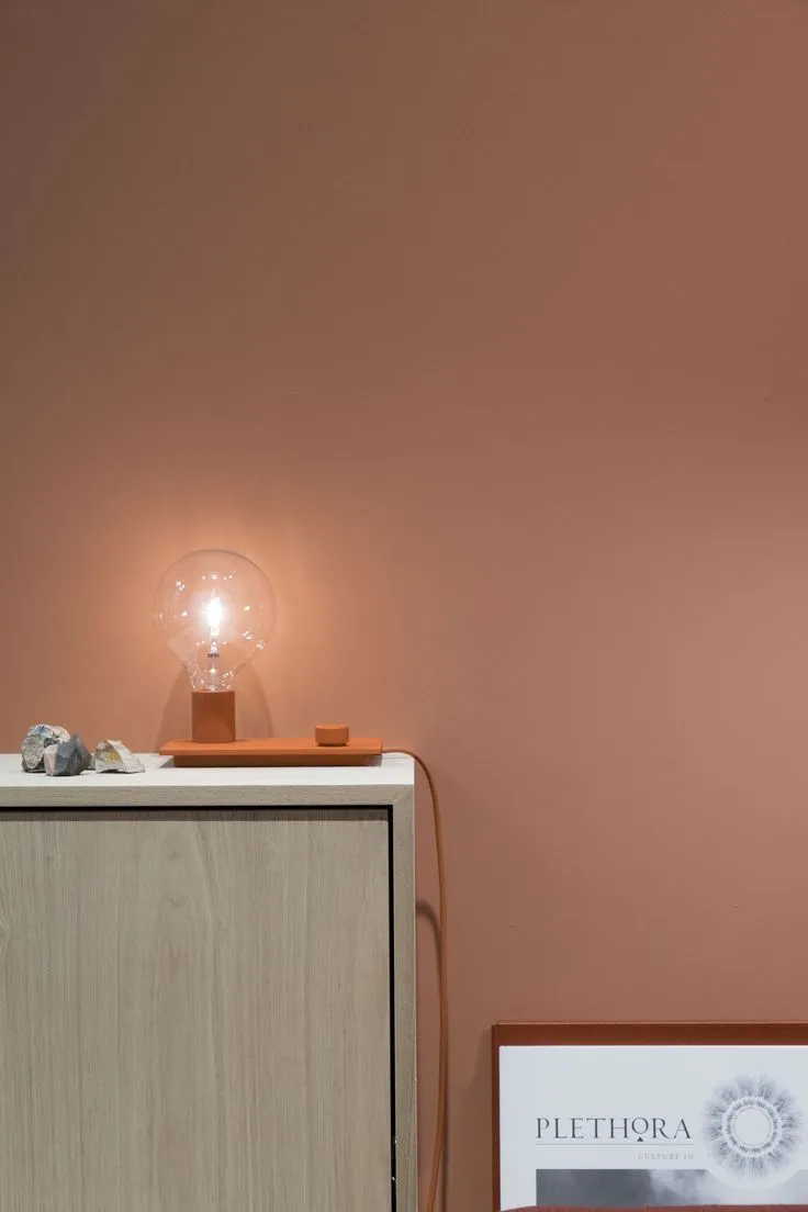 Control Lamp, Red (Orange)