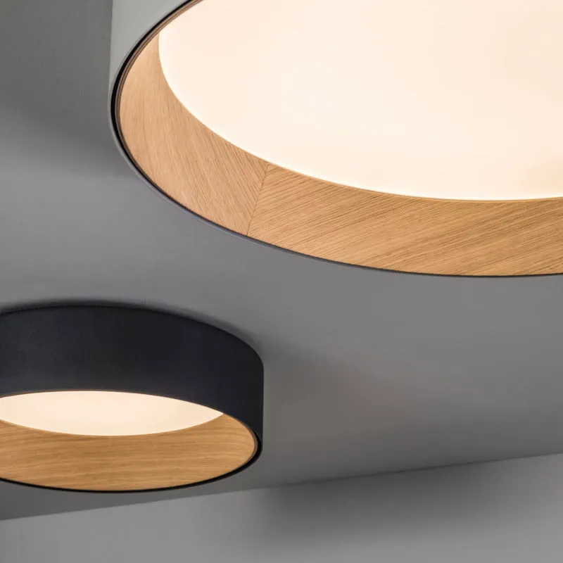 Duo Flush Mount