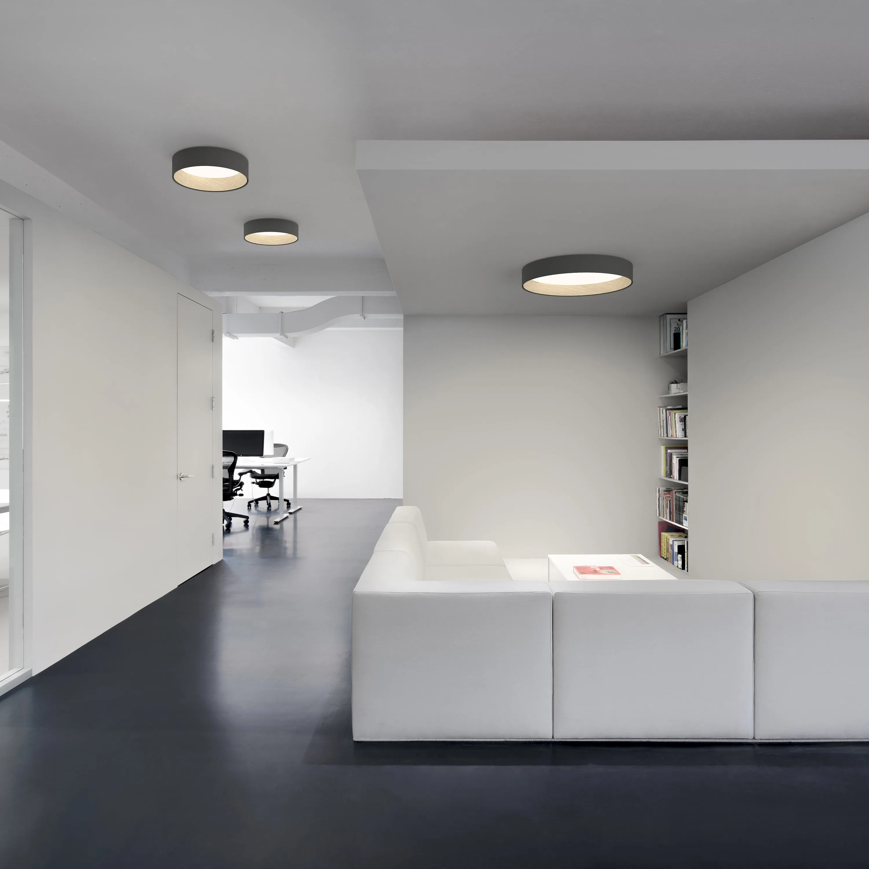 Duo Flush Mount