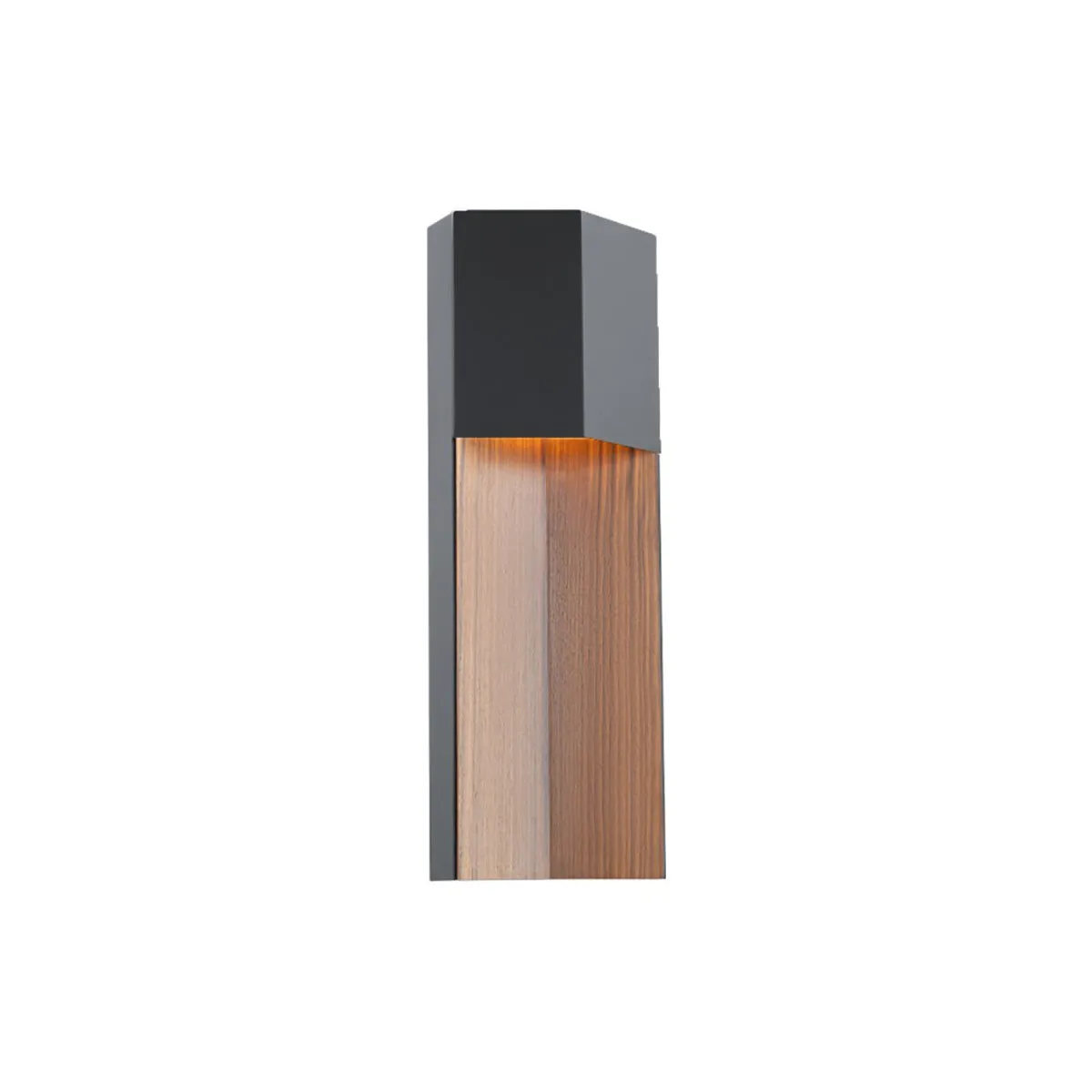 Dusk LED Outdoor Wall Light