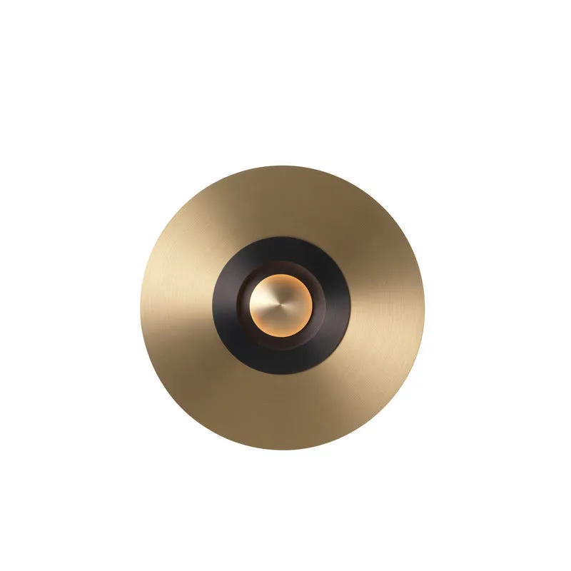 Earth Sober Wall / Ceiling Light