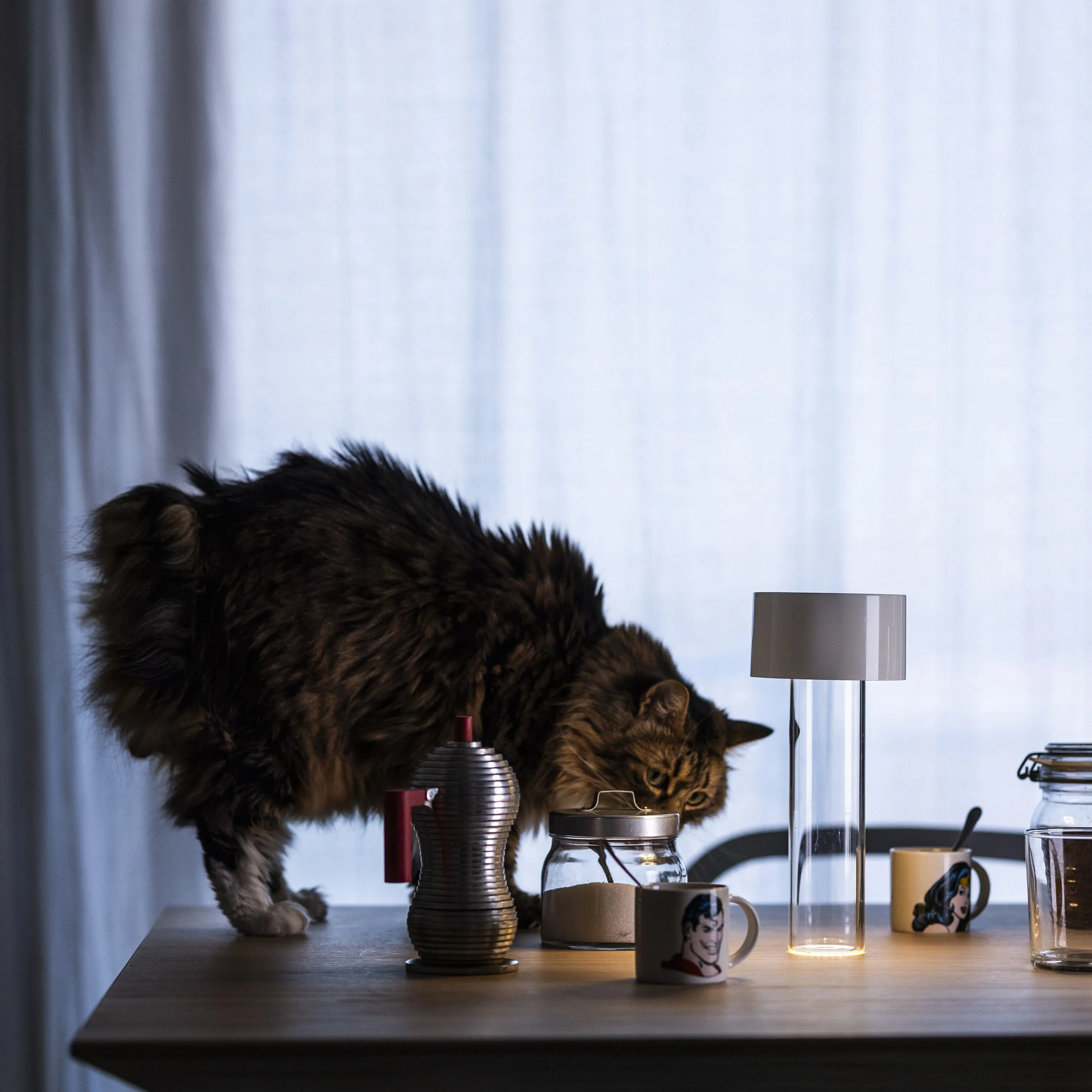 Fleur Vase & Portable Lamp