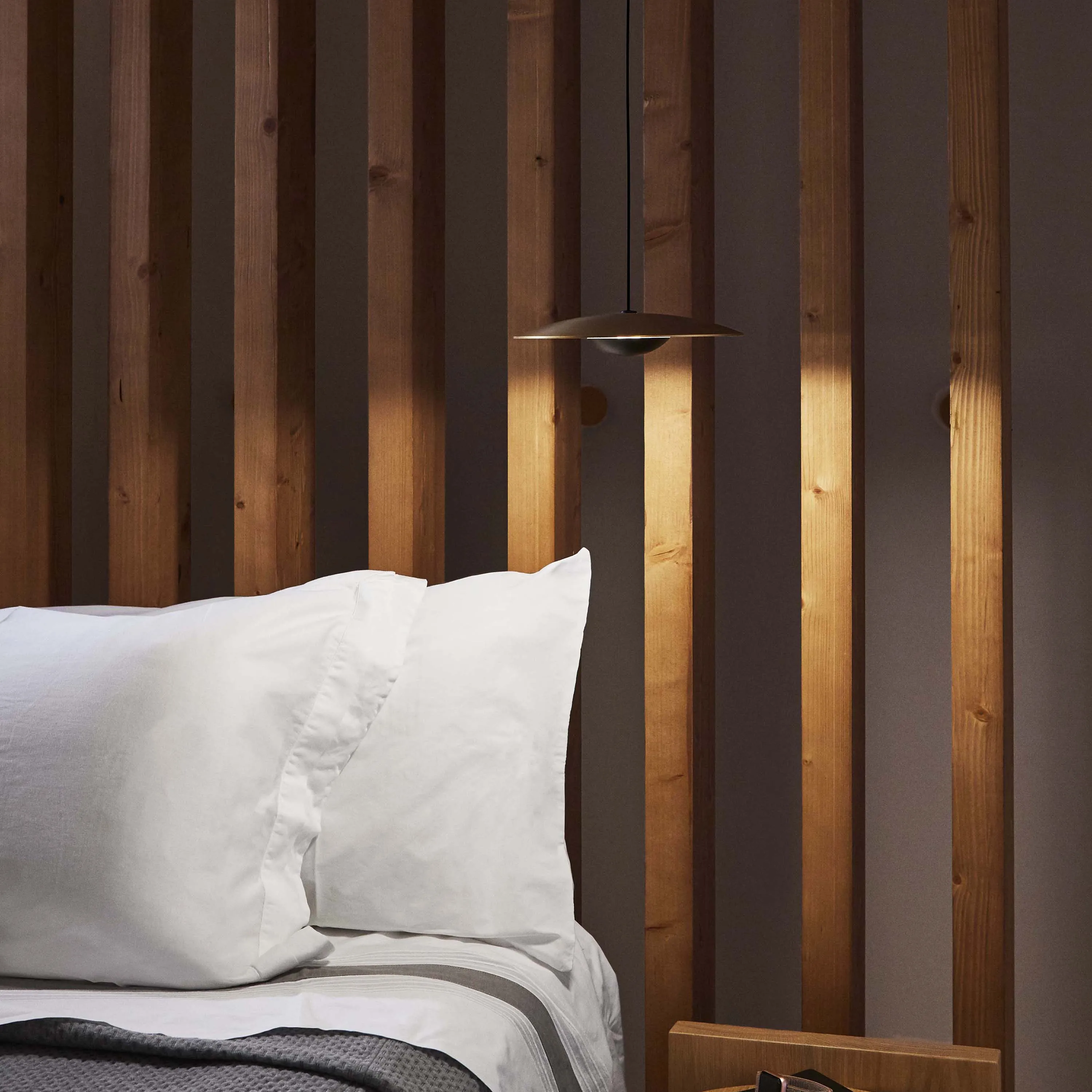 Ginger LED Pendant Light