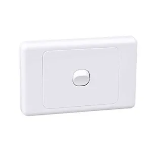 Igoto 1 Gang Switch 10A