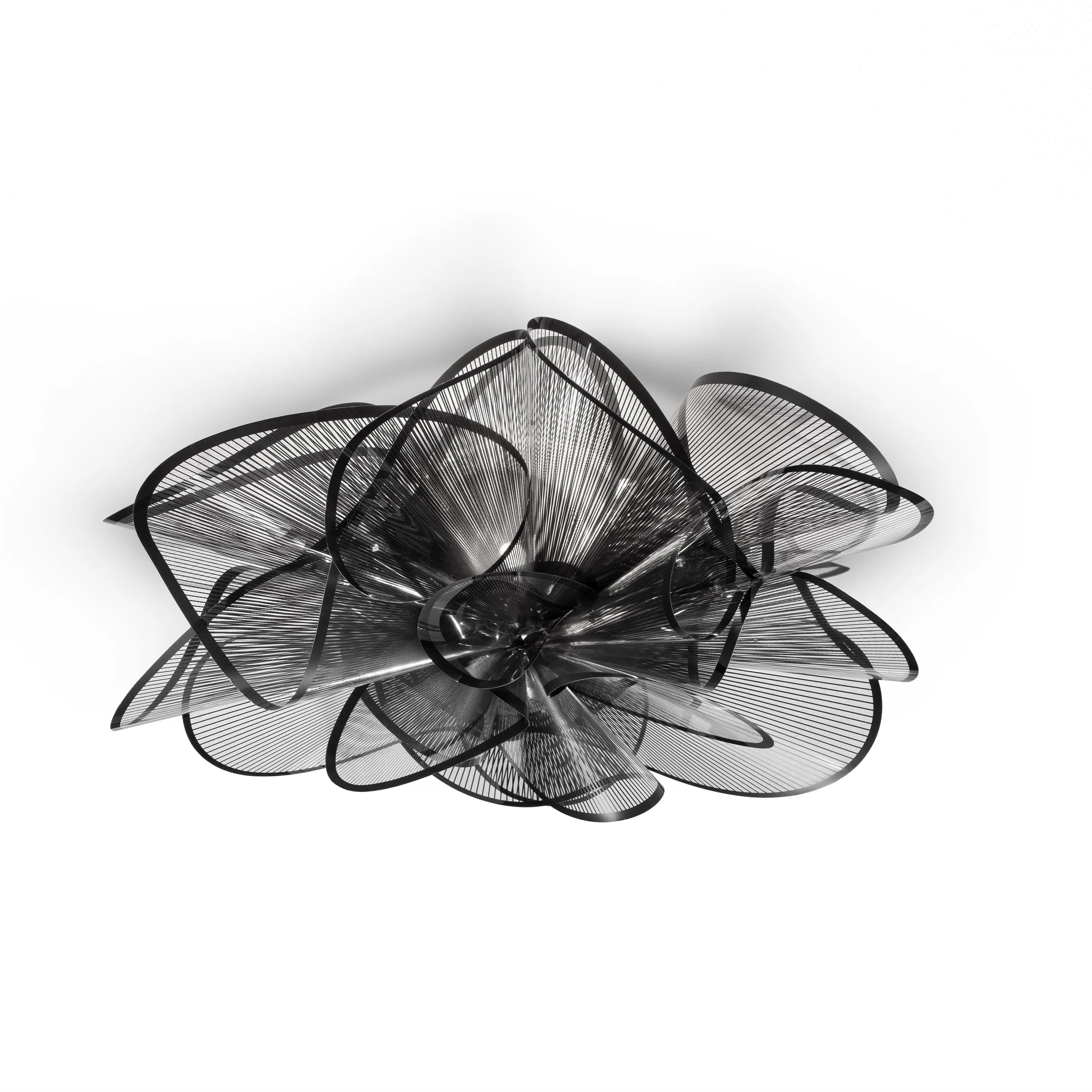 La Belle Etoile Wall / Ceiling Light