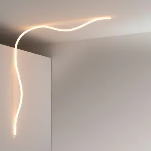 La Linea Outdoor Wall/Ceiling Light