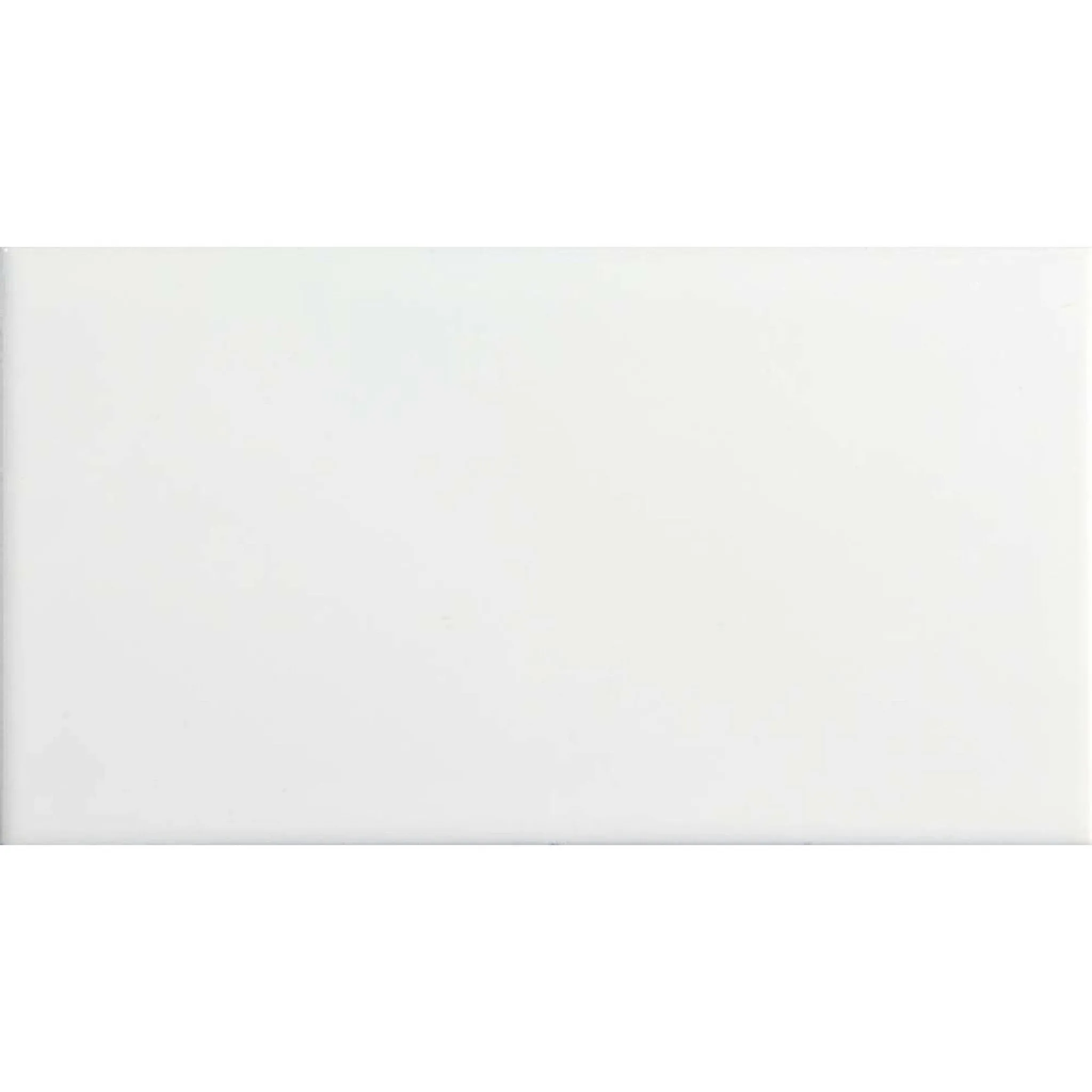 Liso White Gloss 100x200