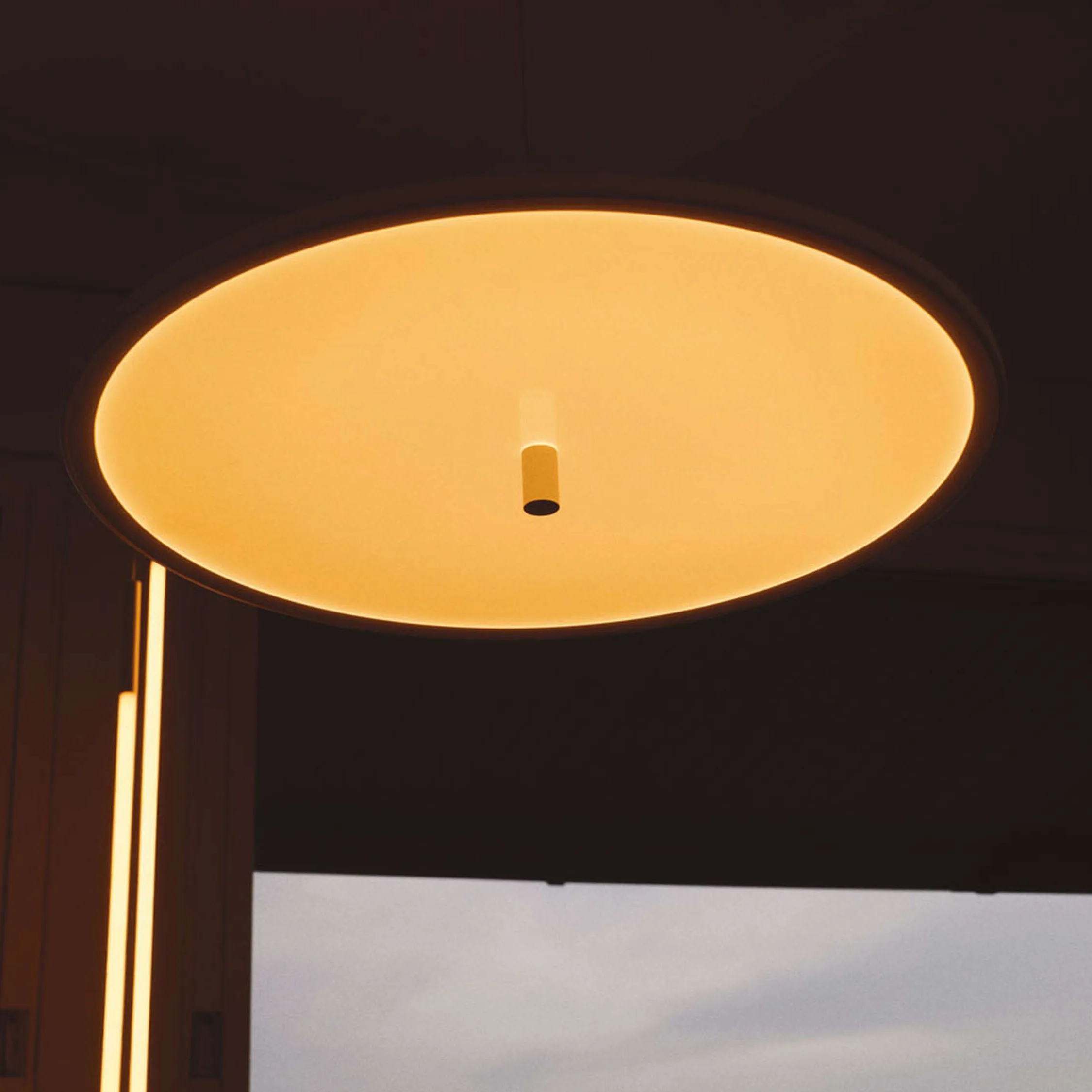 My Circuit Disc Pendant Light