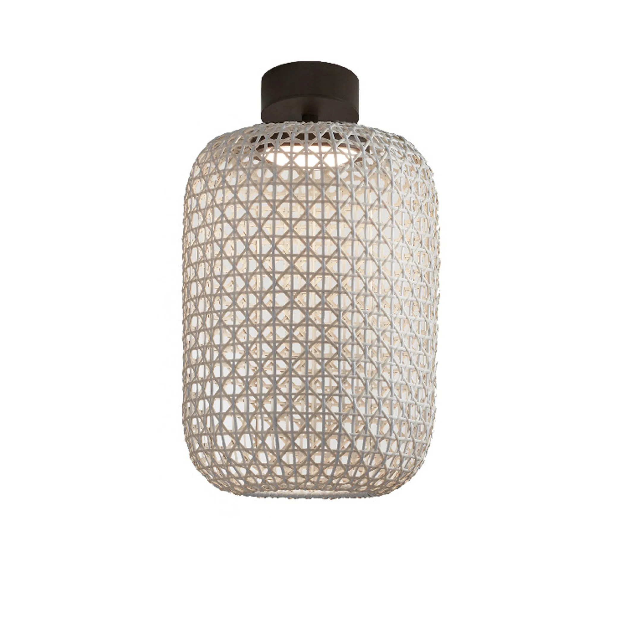 Nans Outdoor LED Semi Flush Mount