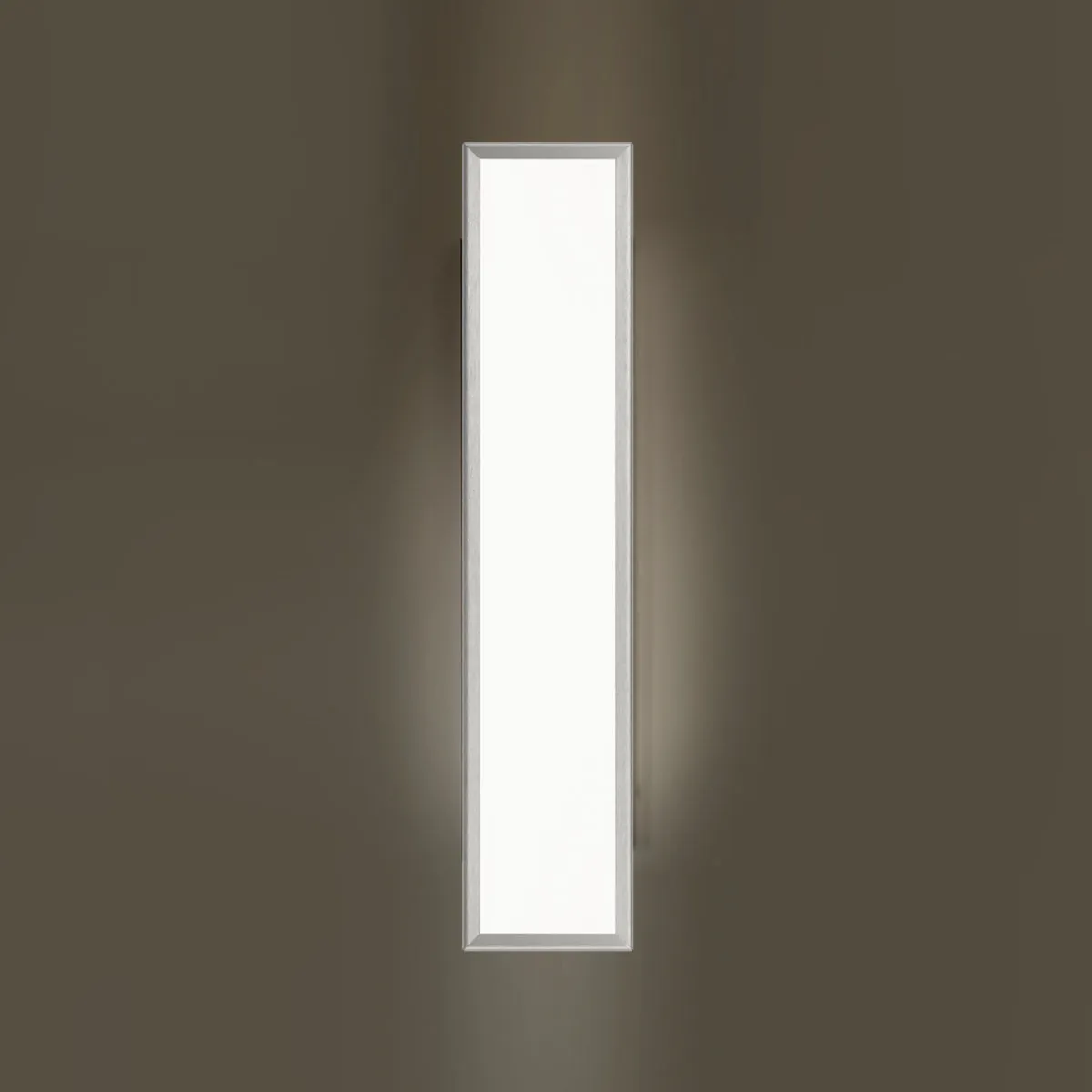 Neo Rectangular Wall / Ceiling Light