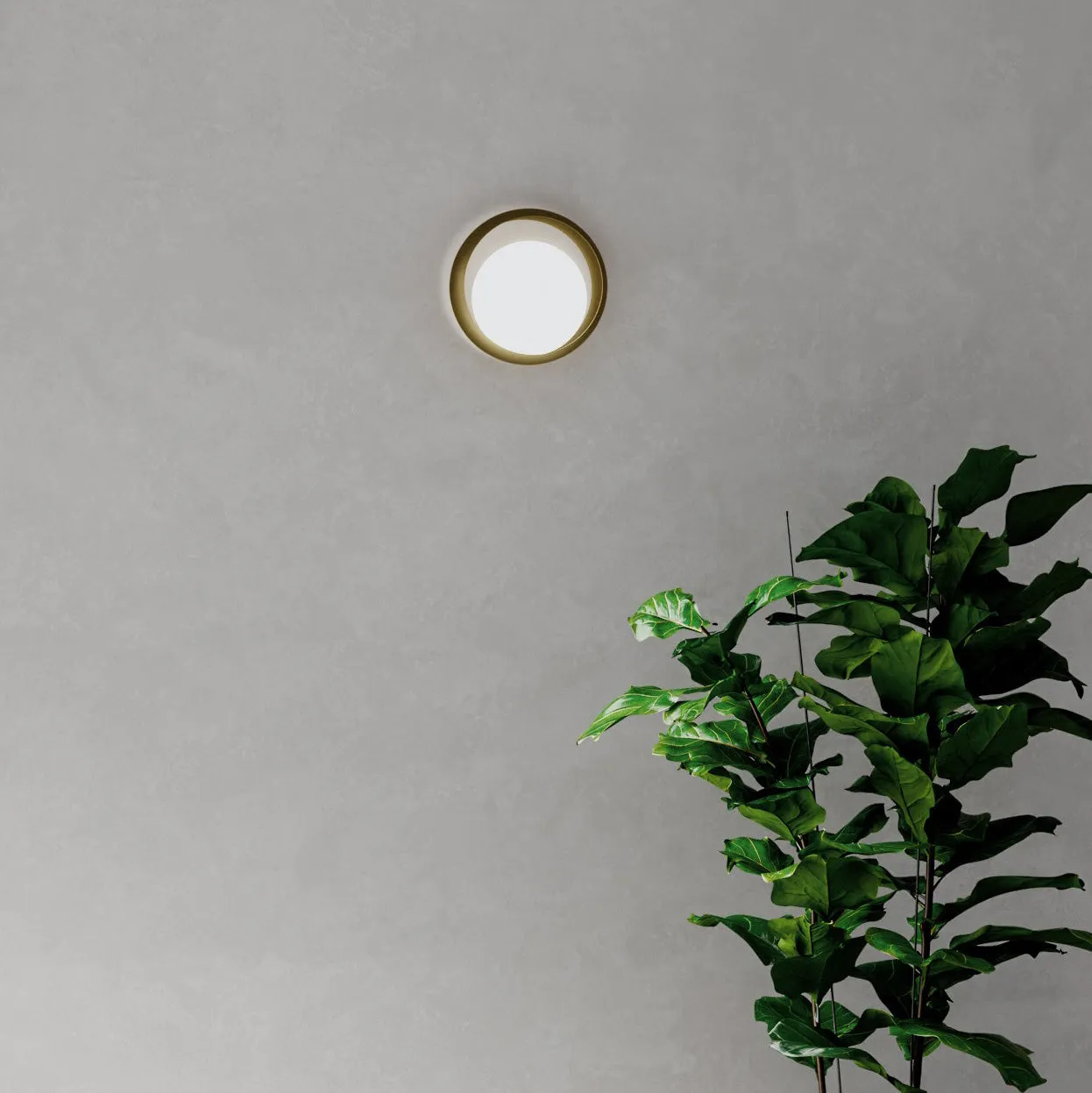 Ring Wall Sconce