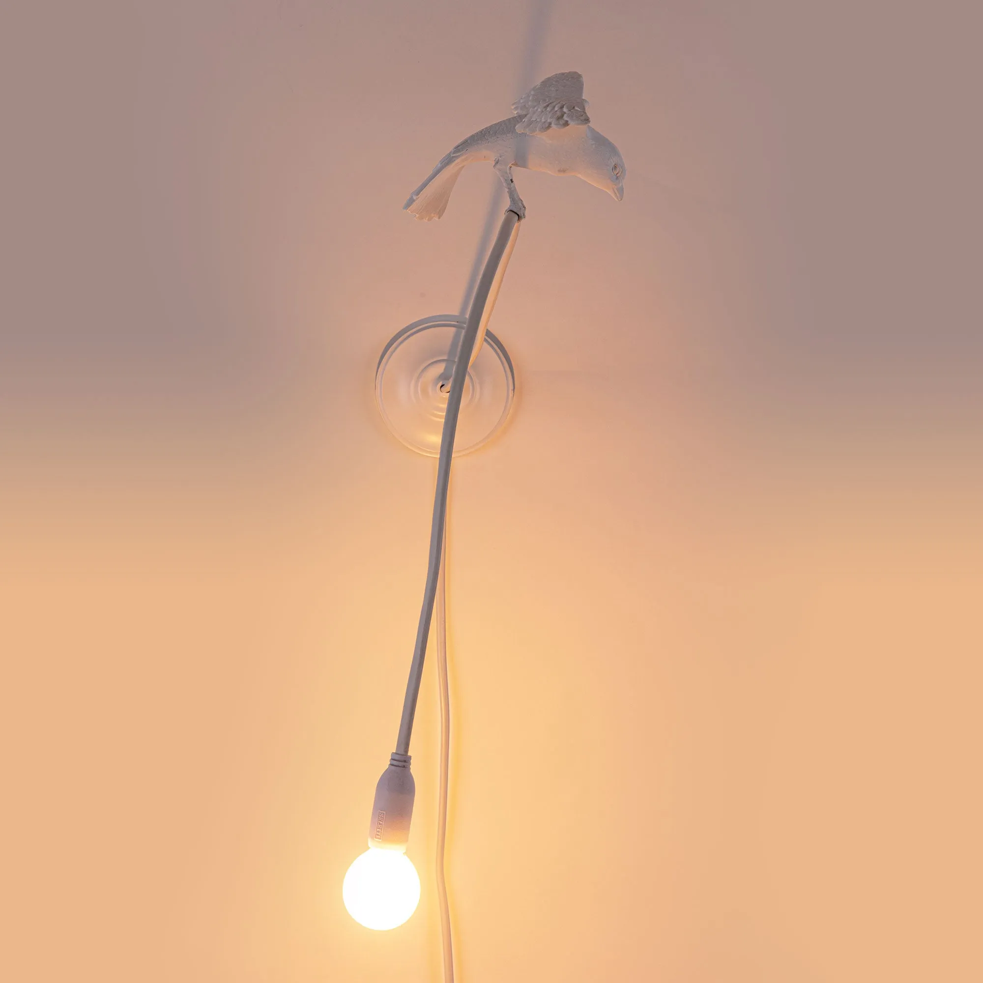 Sparrow Wall Light