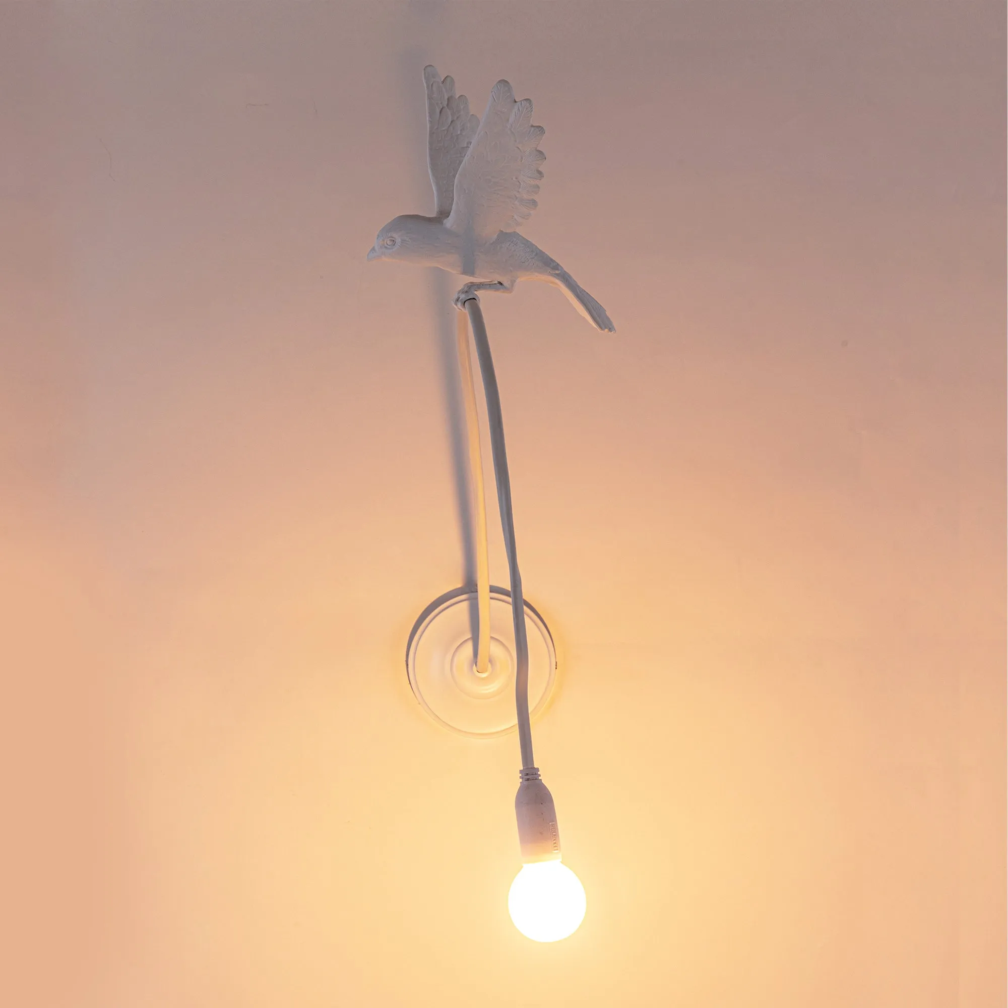 Sparrow Wall Light