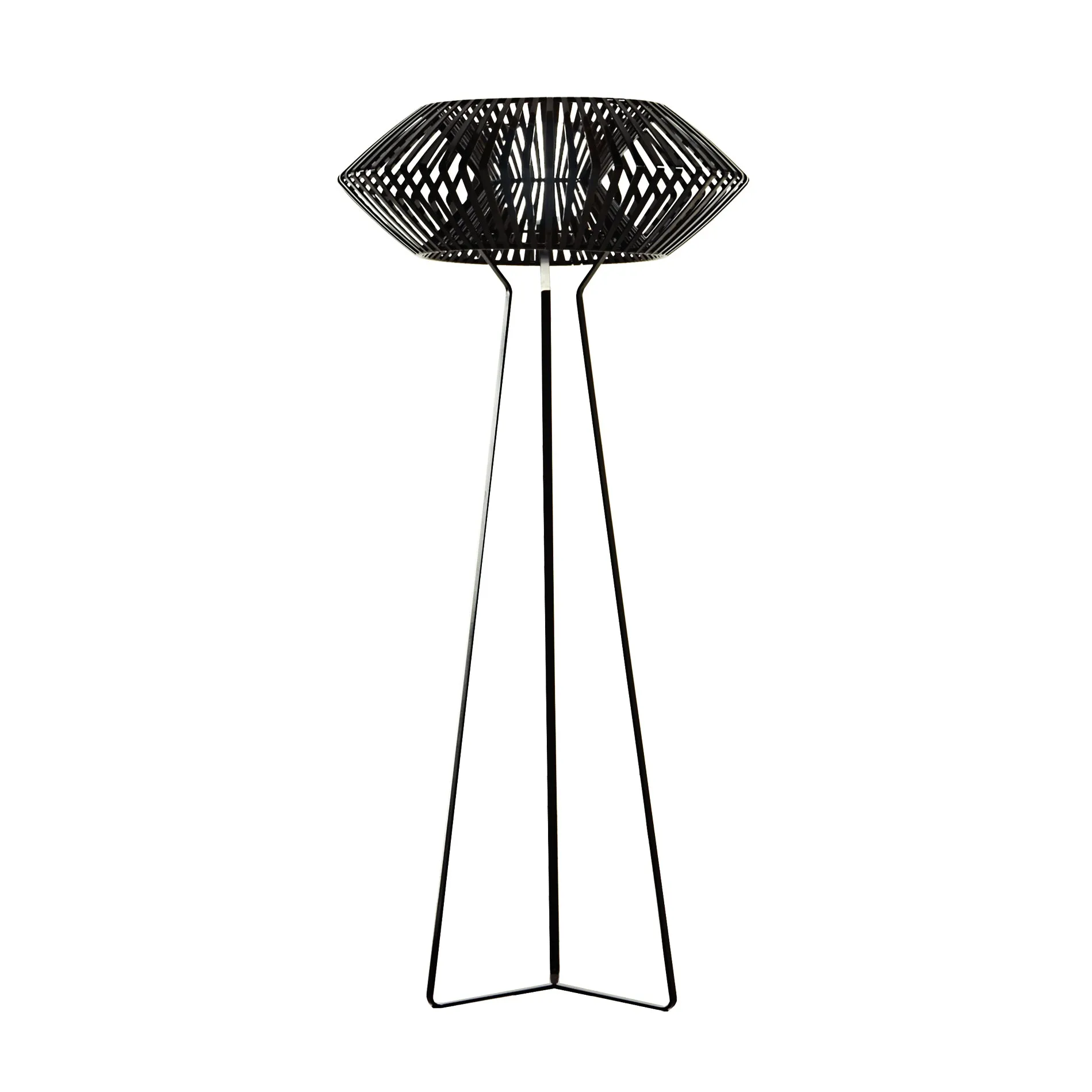 V Floor Lamp